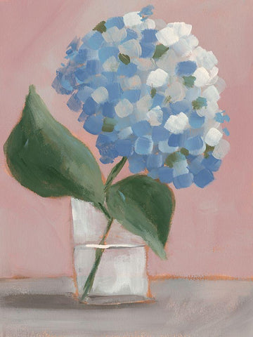 Single Hydrangea II White Modern Wood Framed Art Print with Double Matting by Moore, Regina
