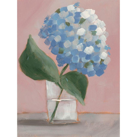Single Hydrangea II Black Modern Wood Framed Art Print by Moore, Regina