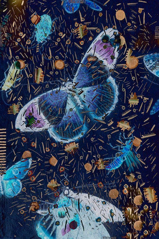 Confetti with Butterflies I Black Ornate Wood Framed Art Print with Double Matting by Arbel, Lori