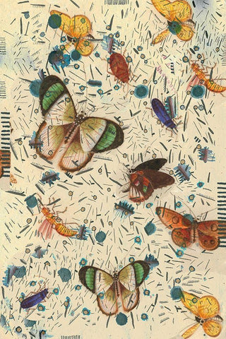 Confetti with Butterflies III White Modern Wood Framed Art Print with Double Matting by Arbel, Lori