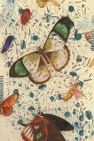 Confetti with Butterflies IV Black Ornate Wood Framed Art Print with Double Matting by Arbel, Lori