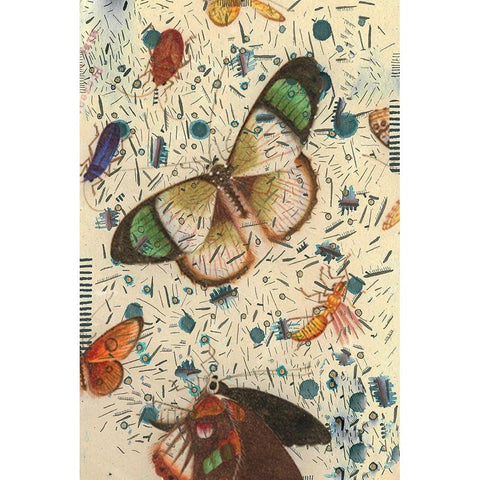 Confetti with Butterflies IV White Modern Wood Framed Art Print by Arbel, Lori