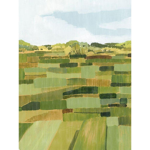 Woven Pasture II Black Modern Wood Framed Art Print by Popp, Grace