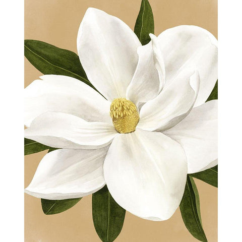 Magnolia on Gold I Gold Ornate Wood Framed Art Print with Double Matting by Popp, Grace