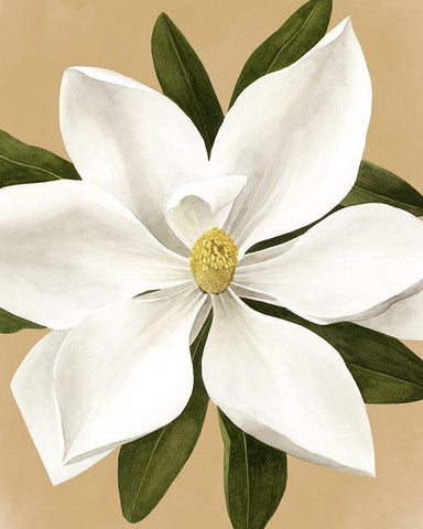 Magnolia on Gold II White Modern Wood Framed Art Print with Double Matting by Popp, Grace