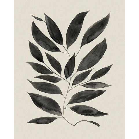 Branched Composition I Black Modern Wood Framed Art Print with Double Matting by Popp, Grace