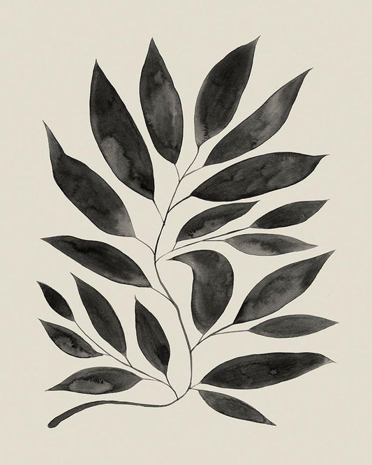 Image Only