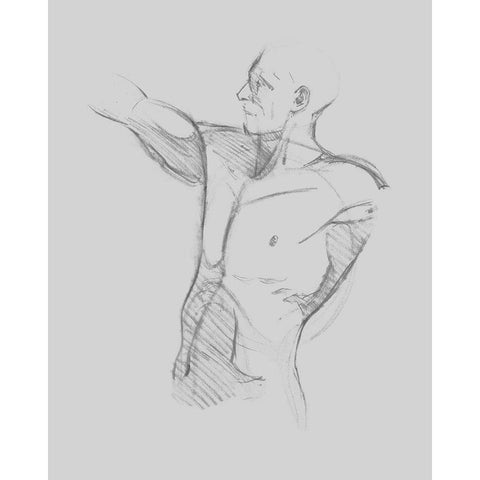 Male Torso Sketch IV White Modern Wood Framed Art Print by Green, Jacob