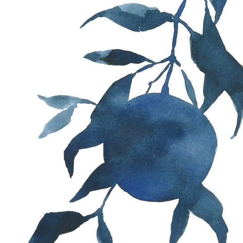 Indigo Oranges I Black Modern Wood Framed Art Print with Double Matting by Caroline, Emma