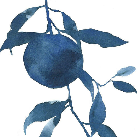 Indigo Oranges II Black Modern Wood Framed Art Print with Double Matting by Caroline, Emma
