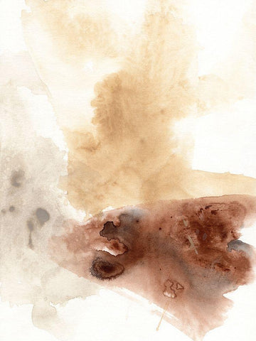 Tectonic Geyser I Black Ornate Wood Framed Art Print with Double Matting by Vess, June Erica