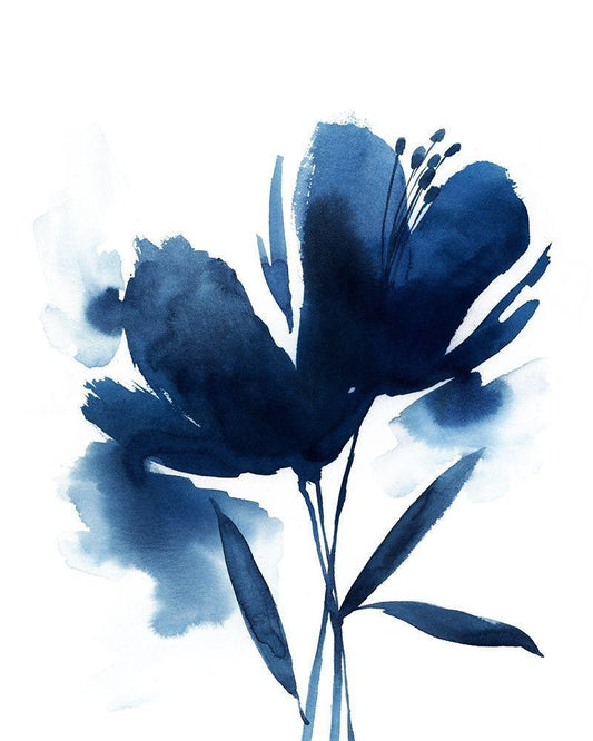 Image Only