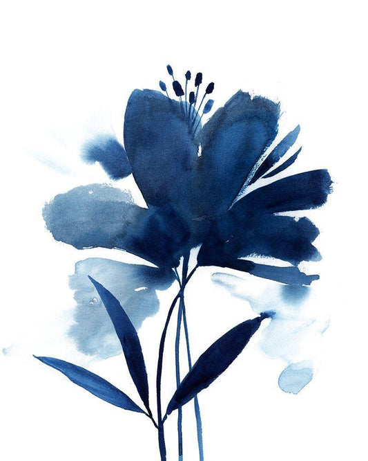 Image Only