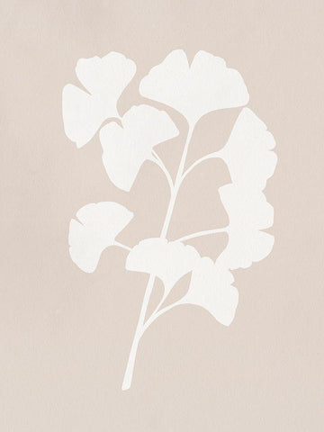 Ginkgo Branch I White Modern Wood Framed Art Print with Double Matting by Caroline, Emma