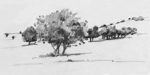 Treeline Sketch I Black Ornate Wood Framed Art Print with Double Matting by Caroline, Emma