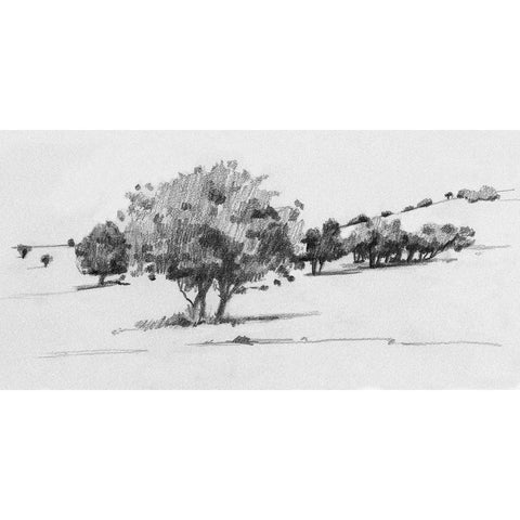 Treeline Sketch I Gold Ornate Wood Framed Art Print with Double Matting by Caroline, Emma