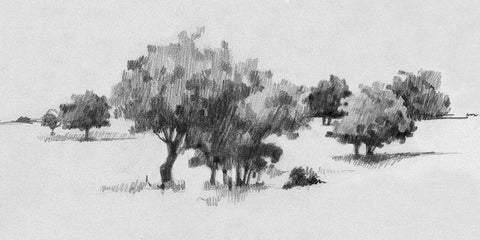 Treeline Sketch II Black Ornate Wood Framed Art Print with Double Matting by Caroline, Emma