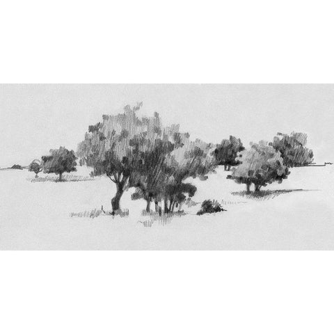 Treeline Sketch II Black Modern Wood Framed Art Print by Caroline, Emma