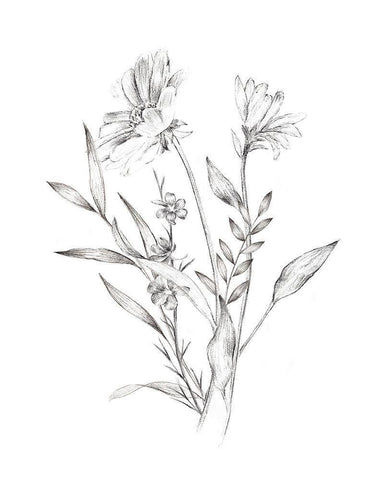 Wild Bunch II White Modern Wood Framed Art Print with Double Matting by Warren, Annie