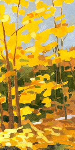 Autumn Hike II White Modern Wood Framed Art Print with Double Matting by Caroline, Emma