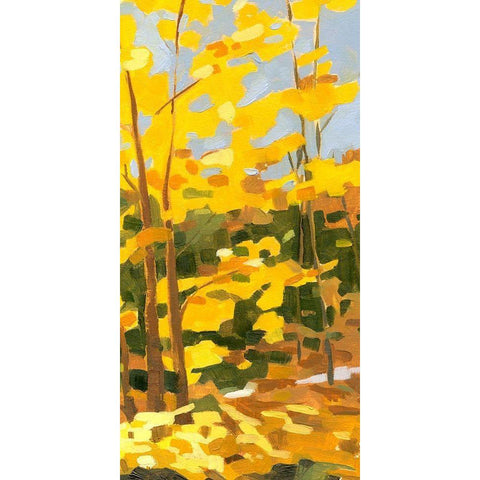 Autumn Hike II Black Modern Wood Framed Art Print with Double Matting by Caroline, Emma