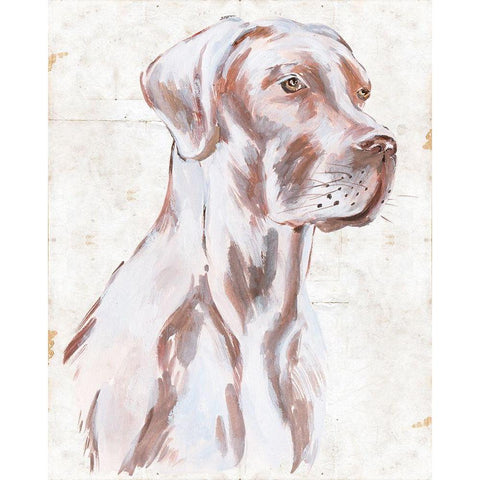 Sitting Dog IV Black Modern Wood Framed Art Print with Double Matting by Wang, Melissa