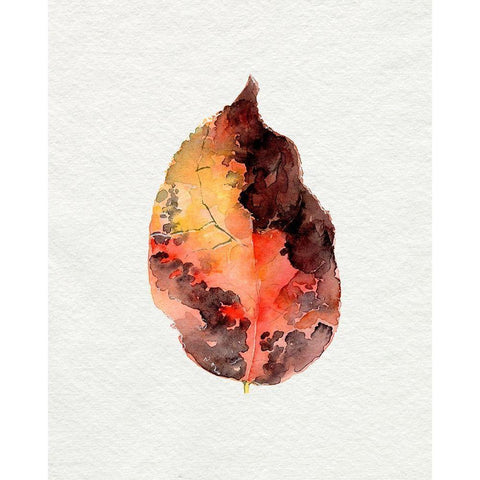 Watercolor Autumn Leaf I Black Modern Wood Framed Art Print with Double Matting by Parker, Jennifer Paxton