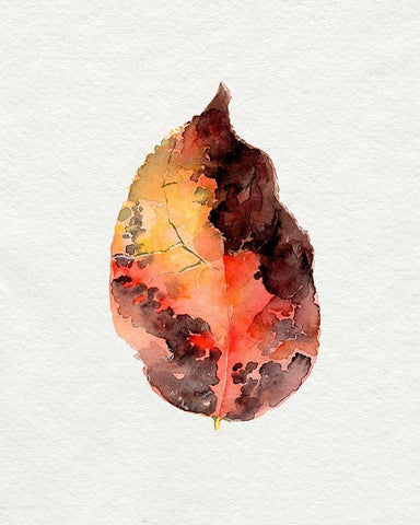 Watercolor Autumn Leaf I White Modern Wood Framed Art Print with Double Matting by Parker, Jennifer Paxton