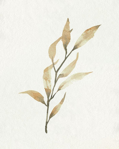 Soft Autumn Branch I White Modern Wood Framed Art Print with Double Matting by Caroline, Emma
