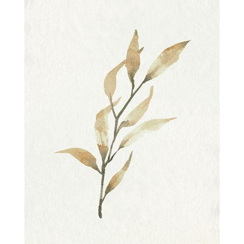 Soft Autumn Branch I White Modern Wood Framed Art Print by Caroline, Emma