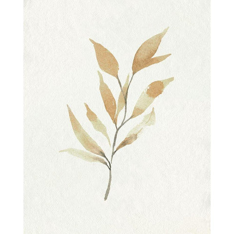 Soft Autumn Branch II Black Modern Wood Framed Art Print with Double Matting by Caroline, Emma
