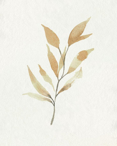 Soft Autumn Branch II Black Ornate Wood Framed Art Print with Double Matting by Caroline, Emma