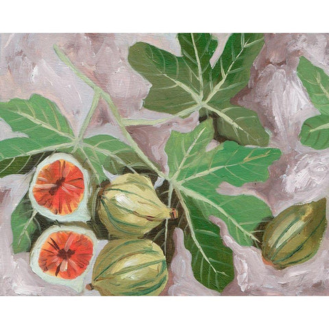Decorative Fig I Black Modern Wood Framed Art Print with Double Matting by Wang, Melissa