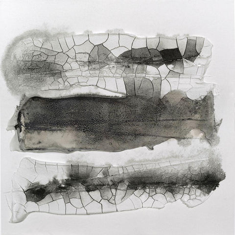 Cut Glass II Black Modern Wood Framed Art Print by Finch, Scherrer