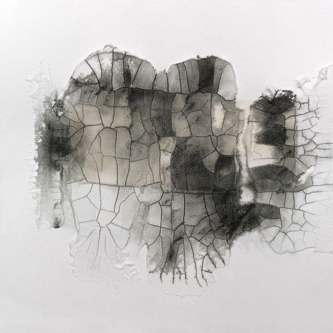 Cut Glass IV Black Modern Wood Framed Art Print by Finch, Scherrer