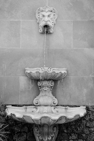 Black and White Fountains I Black Ornate Wood Framed Art Print with Double Matting by DeNardo, Laura