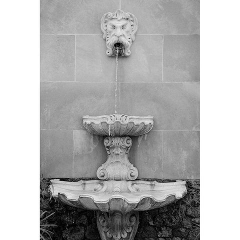 Black and White Fountains I Black Modern Wood Framed Art Print with Double Matting by DeNardo, Laura
