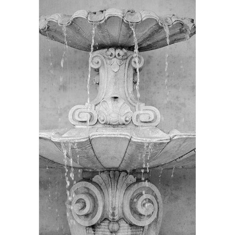 Black and White Fountains II Black Modern Wood Framed Art Print with Double Matting by DeNardo, Laura