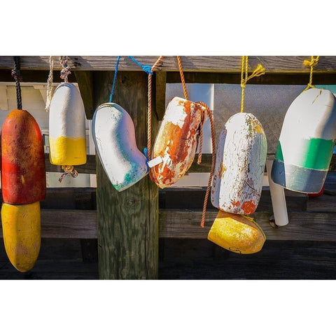 Coastal Trappings III Black Modern Wood Framed Art Print by DeNardo, Laura