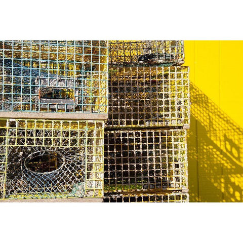 Coastal Trappings IV Black Modern Wood Framed Art Print by DeNardo, Laura