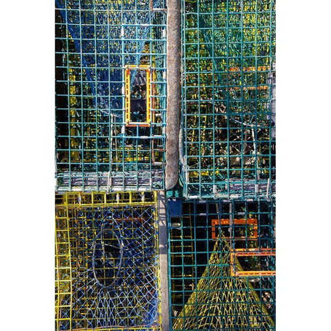 Coastal Trappings V Black Modern Wood Framed Art Print by DeNardo, Laura