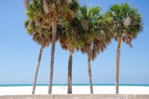 Coastal Palms I Black Ornate Wood Framed Art Print with Double Matting by DeNardo, Laura