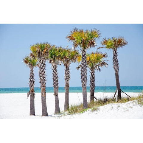 Coastal Palms II Gold Ornate Wood Framed Art Print with Double Matting by DeNardo, Laura