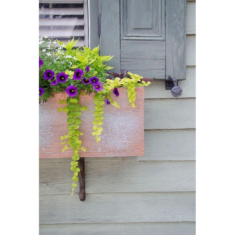 Pastel Windows V Black Modern Wood Framed Art Print with Double Matting by DeNardo, Laura