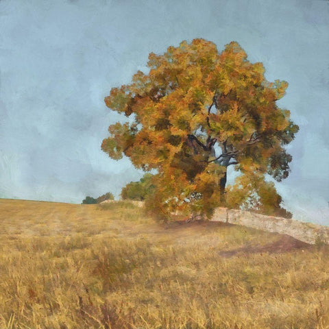 Autumns Tranquility I Black Modern Wood Framed Art Print by Saunders, Alonzo