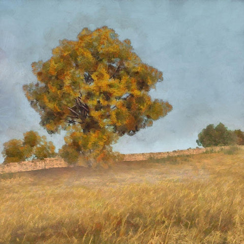 Autumns Tranquility II Gold Ornate Wood Framed Art Print with Double Matting by Saunders, Alonzo