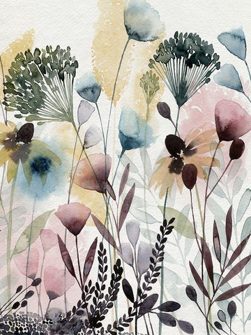 Watercolor Wildflower II White Modern Wood Framed Art Print with Double Matting by Popp, Grace