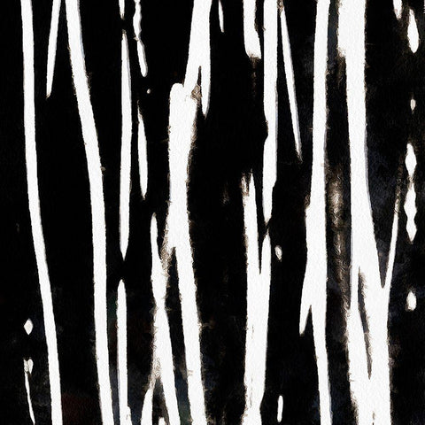 Streaking Paths I Black Modern Wood Framed Art Print with Double Matting by Saunders, Alonzo