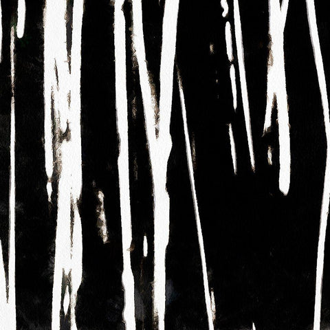 Streaking Paths II Black Modern Wood Framed Art Print with Double Matting by Saunders, Alonzo