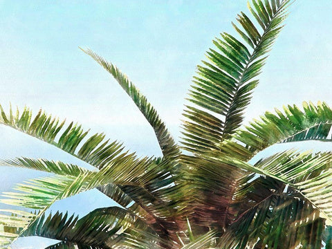 Pleasant Palms I Black Ornate Wood Framed Art Print with Double Matting by Saunders, Alonzo